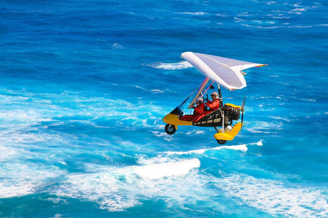 A white-winged trike over deep blue water and a line of whitewater